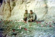 انگار خداوند، سگ ها را مامور کرده بود تا ما را نجات دهند
