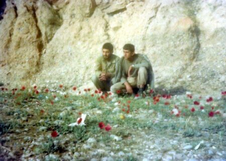 انگار خداوند، سگ ها را مامور کرده بود تا ما را نجات دهند