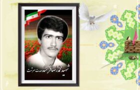 شهید محمدرضا فرهمند، شهیدی که دوبار به خاک سپرده شد